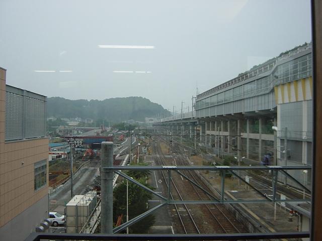 DSC00533.JPG